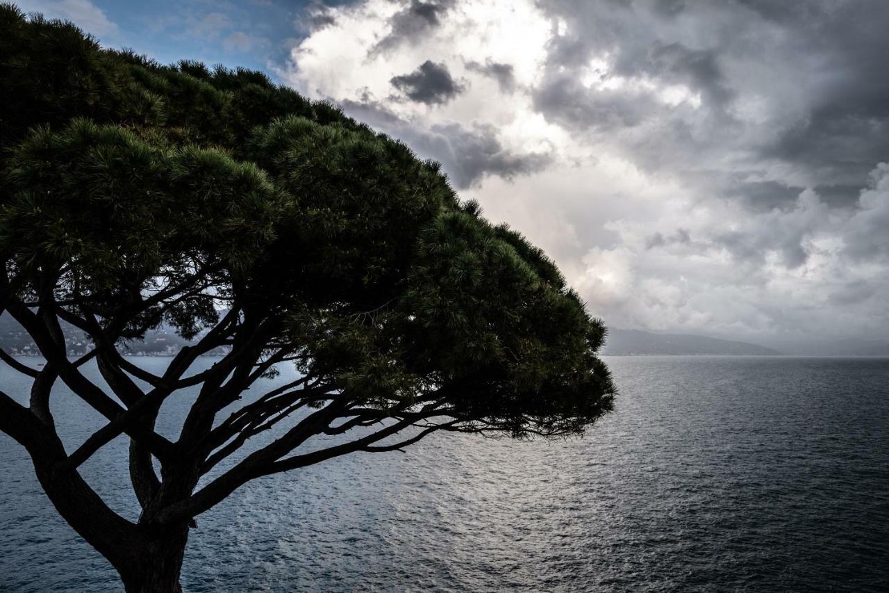 Hotel Blu Di Te Santa Margherita Ligure Buitenkant foto